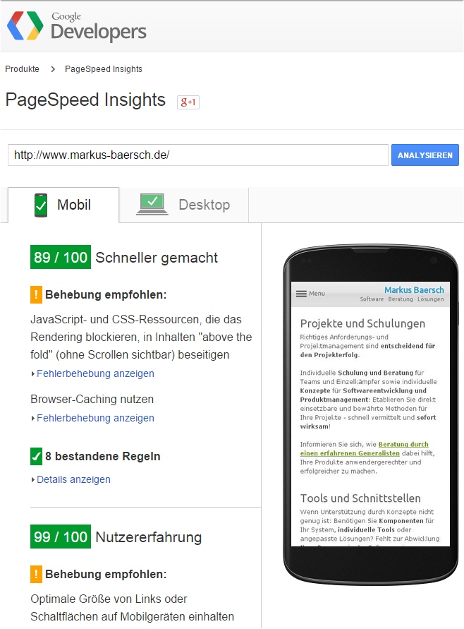 Streng: PageSpeed Insights